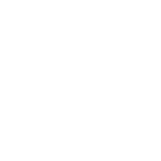 Camisas Estampadas Logo