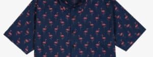 Leia mais sobre o artigo Camisas com estampas de animais