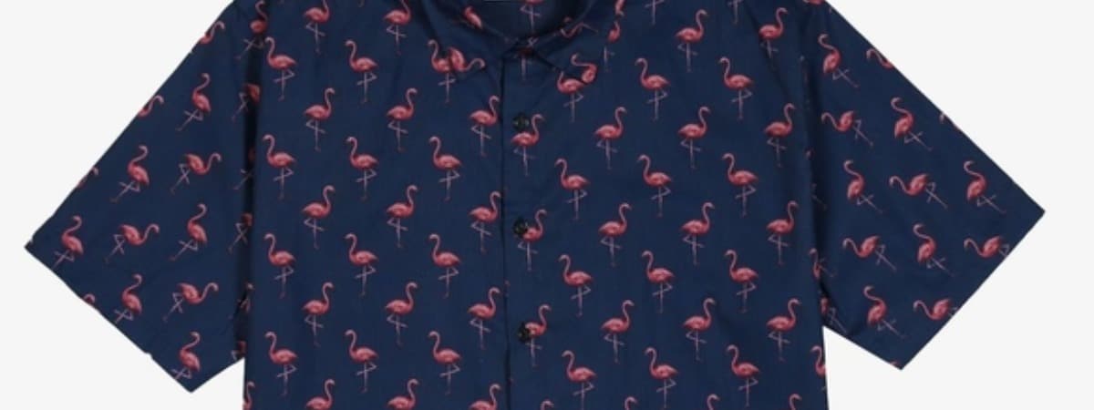 Leia mais sobre o artigo Camisas com estampas de animais